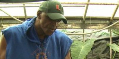 Will Allen ,Growing Power – The Urban Farmer. | FloraTube GRDN