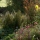 Inside Beatrix Potter's Cottage Garden | The Great British Garden Revival